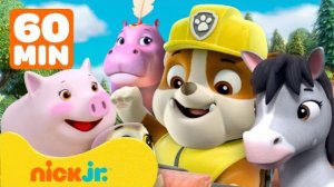 🍿 Щенячий патруль  Крепыш и дикие спасения животных!  1 час