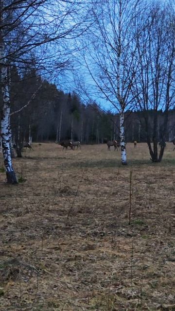 Когда случайно забрёл на чужую тусу 😅