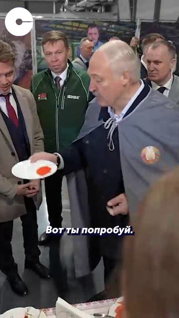 В Беларуси моря нет, а икра - есть! #shorts