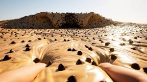 В каком море ты бы поплавал? 🏊 Яркие Мультики для детей. Детские мультики смотреть