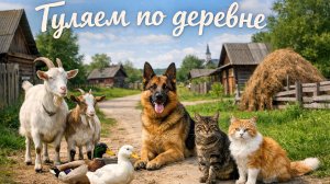 Деревенская жизнь | Кормим и гуляем с животными