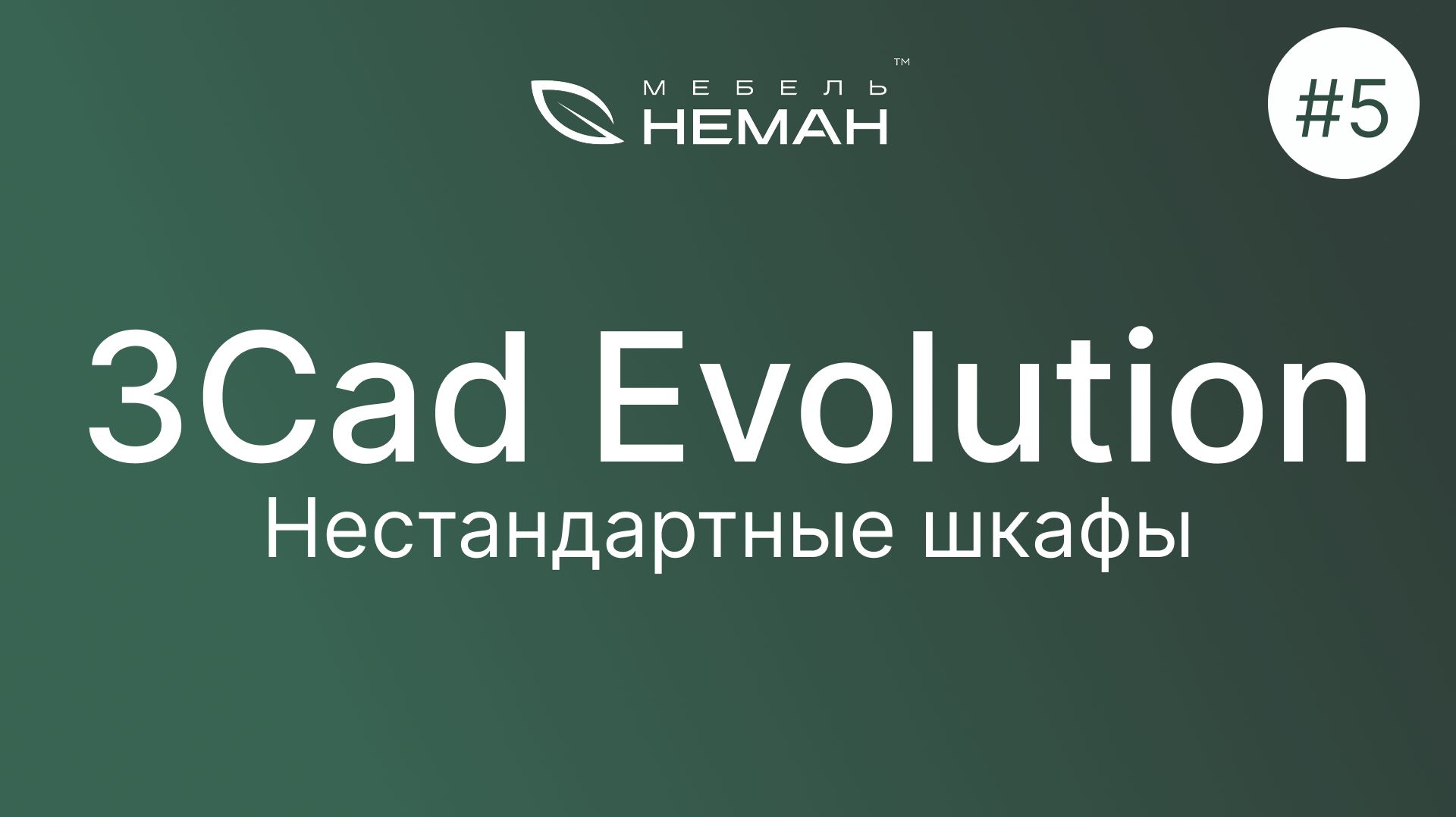 Мебель-Неман уроки 3Cad Evolution. Урок №5. Нестандартные шкафы