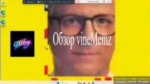 The vineMemz