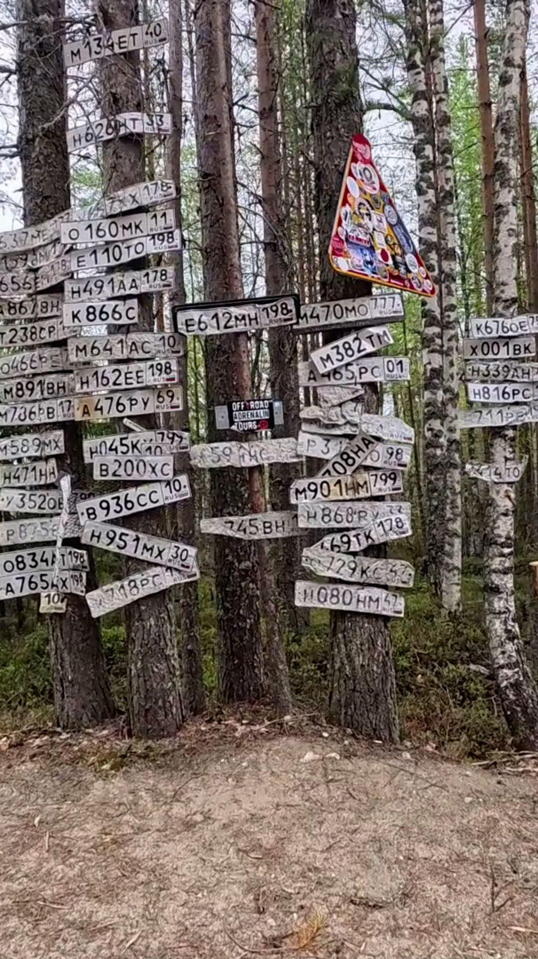 День 6. Выход на станцию Гимольская