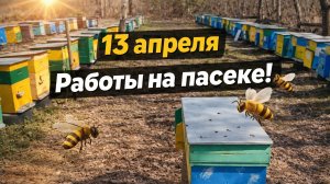 13 апреля. Работы на пасеке