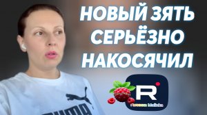 Big Big Family in the USA _Новый зять серьёзно накосячил _Обзор _Биг Биг Фэмэли _Жизнь в Америке