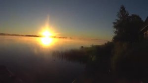 РЫБАЛКА НА УТРЕННЮЮ ЗОРЬКУ!СТОЛЬКО РЫБЫ Я НЕ ВИДЕЛ ЕЩЁ!