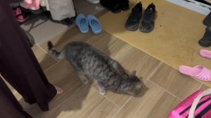 Дом в Ижевске. Встреча, знакомство. 1 часть.