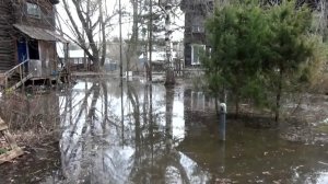 Весеннее половодье 2026 года у города Вязники. Частично подтоплена Заливная улица