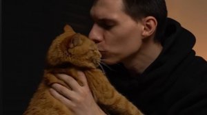 КТО ДОЛЬШЕ ПРОЖИВЕТ?  Redmi Note 13 Pro+, Samsung A34, Tecno Pova 5, Infinix Note 30, Realme 10 Pro