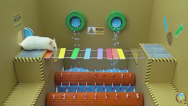 Хомячок убегает из красочного лабиринта с пауком! 9 часть