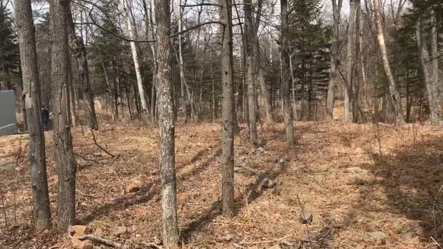 КАК КУПИТЬ УЧАСТОК ПОД СТРОИТЕЛЬСТВО ДОМА И НЕ ОШИБИТЬСЯ [СТРОЙВАШДОМ]