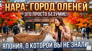 ЯПОНИЯ, О КОТОРОЙ ВЫ НЕ ЗНАЛИ: НАРА – ГОРОД, ГДЕ ПРАВЯТ ОЛЕНИ! #не_о_работе