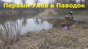 ПЕРВАЯ РЫБАЛКА НА ПОПЛАВОК В ПАВОДОК.НЕ ОЖИДАННЫЙ ПЕРВЫЙ УЛОВ.ЛОВЛЯ НА ПОПЛАВОК.