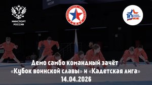 Демо самбо командный зачёт «Кубок воинской славы» и «Кадетская лига»