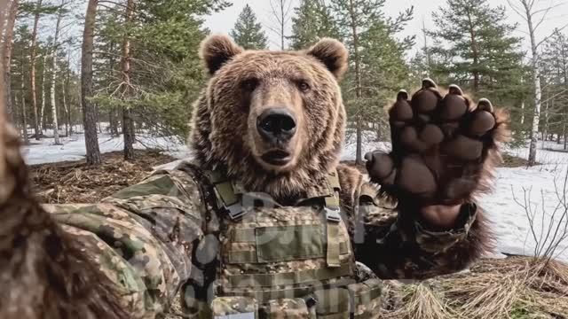 🔵Михалыч и Потапыч - «Новые боевые позиции»🔵(17 серия).