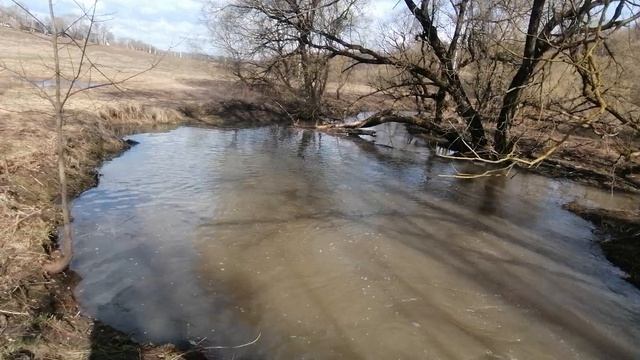 13.04.2026.Ляховский край.Уно-Моменто!25/7/365. Губернаторский. Ляхово TиVи. Усадьба Парк Кинематогр