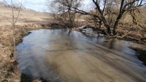 13.04.2026.Ляховский край.Уно-Моменто!25/7/365. Губернаторский. Ляхово TиVи. Усадьба Парк Кинематогр