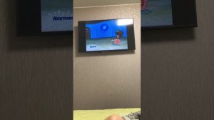 Я смотрю Спанч Боб на новом телеке трансляция 2005 года 25 июля вечером