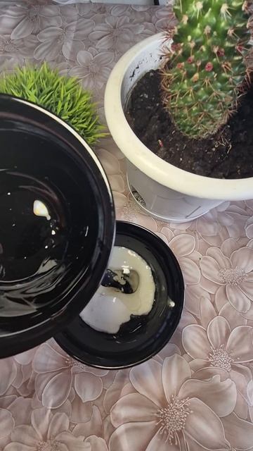 Секрет длинных волос!!