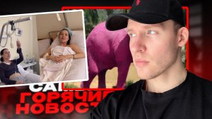 Тяжелая болезнь блогерши Лерчек...Покрасили слона в РОЗОВЫЙ ЦВЕТ😳Топ новостей