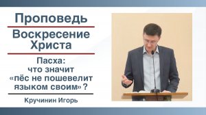 Воскресение Христа | Пасха: что значит «пёс не пошевелит языком своим» | Проповедь | Кручинин Игорь