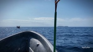 ЗАНЗИБАР. Дельфины гоняют туристов.