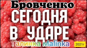 Семья Бровченко _Сегодня в Ударе _Обзор Влогов _