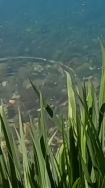 Почему важно следить за обстановкой в месте ловли