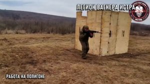 Что за львы, эти тигры?