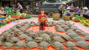 Покупаю черепах у фермера, для перепродажи на сельском рынке. Фуонг. Жизнь во Вьетнаме