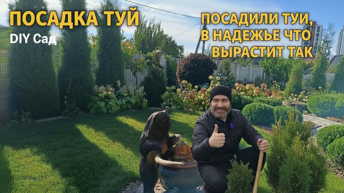 Выбираем и сажаем тую Смарагд  настоящее садовое приключение