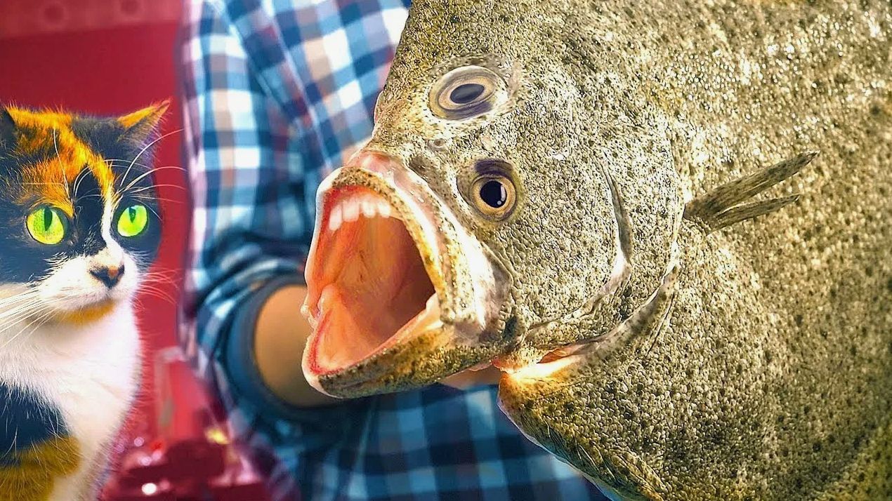 КУПИЛИ РЫБУ-МУТАНТА!