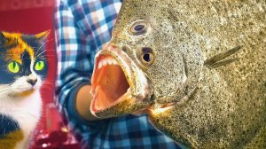 КУПИЛИ РЫБУ-МУТАНТА!