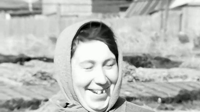 1974 год. Тюменский район. Высадка рассады в грунт под стекло