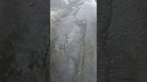 влог на улице