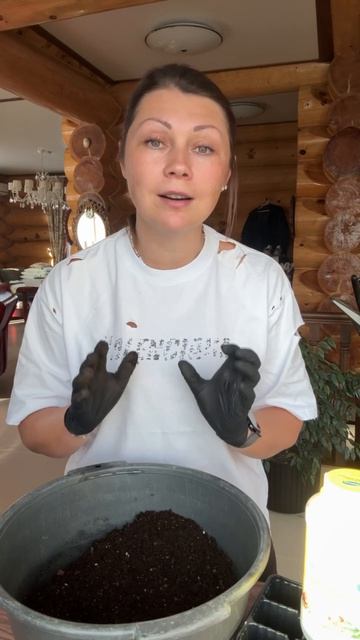 Посев перца на рассаду в феврале