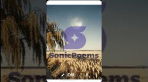 Сергей Есенин — Песни, песни, о чем вы кричите (вар1)