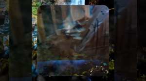 1000056080.mp4 (Собака наблюдает за устройством лестницы на 2-ой этаж в доме А-фрейм)