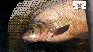 Весенняя рыбалка в дельте Волги