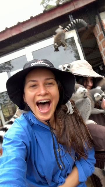 Вот это эмоций