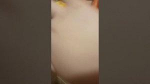 мультик йокими к нам в город скоро приедет новый  йокими ждём он приедет завтра !!!!!!!!!!!!!!!