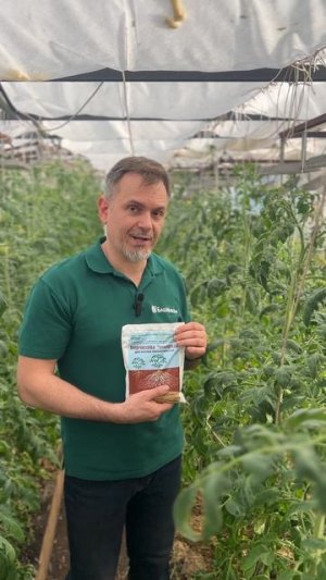 Откройте для своих растений силу микоризы!