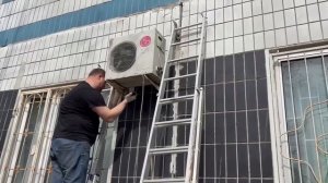 Получение необходимых кондиционеров для наших подопечных