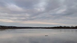 Вода в Оке прибывает ( 13 апреля)