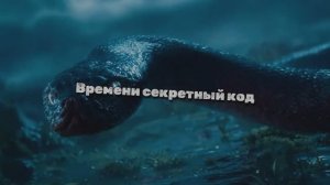 Времени секретный код