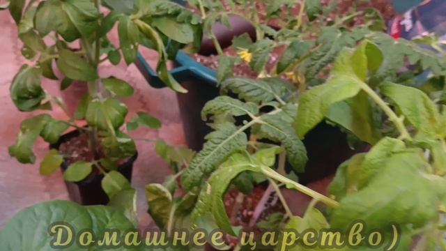 Такой подлянки я не ожидала! 