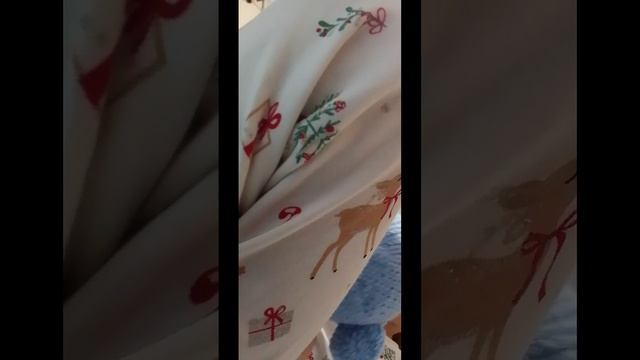 Влог с риборном Мишей