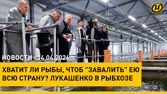 К БУЛЬБЕ НАДО РЫБА! Лукашенко и "взрывные технологии" рыбхоза/ США-Иран: ситуация/ ЧП под Минском
