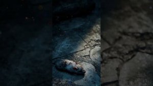 Когда любовь мертва